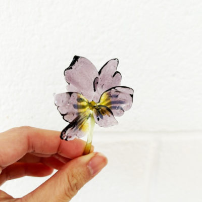 Pansy Picture